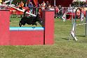 Staats2010 182